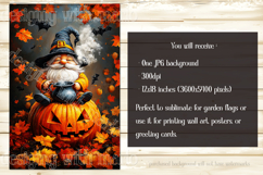 Halloween Gnome Garden Flag, Cauldron, Jack o Lantern, d11 Product Image 2