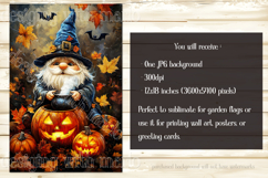 Halloween Gnome Garden Flag, Cauldron, Jack o Lantern, d12 Product Image 2