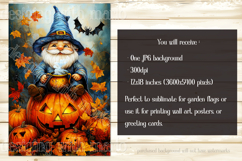 Halloween Gnome Garden Flag, Cauldron, Jack o Lantern, d2 Product Image 2