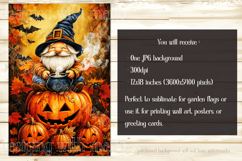 Halloween Gnome Garden Flag, Cauldron, Jack o Lantern, d3 Product Image 2
