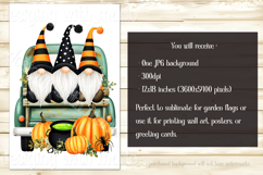 Halloween Gnome Garden Flag, Gnomes in Pickup Truck, d11 Product Image 2