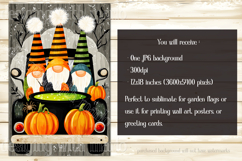 Halloween Gnome Garden Flag, Gnomes in Pickup Truck, d13 Product Image 2