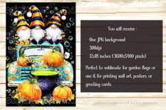 Halloween Gnome Garden Flag, Gnomes in Pickup Truck, d6 Product Image 2