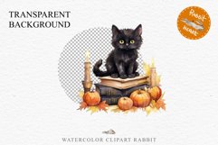 Halloween Kitten On Books Cats Spooky Clipart PNG Scrapbook Fairy Tale Art Image Watercolor witch magic Print illustration sublimation creepy printable digital watercolor halloween kitten books kitty pumpkin clipart, spooky sublimation nursery Creepy