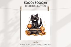 Halloween Kitten On Books Cats Spooky Clipart PNG Scrapbook Fairy Tale Art Image Watercolor witch magic Print illustration sublimation creepy printable digital watercolor halloween kitten books kitty pumpkin clipart, spooky sublimation nursery Creepy