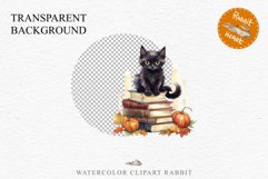 Halloween Kitten On Books Cats Spooky Clipart PNG Scrapbook Fairy Tale Art Image Watercolor witch magic Print illustration sublimation creepy printable digital watercolor halloween kitten books kitty pumpkin clipart, spooky sublimation nursery Creepy
