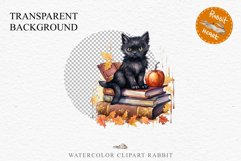 Halloween Kitten On Books Cats Spooky Clipart PNG Scrapbook Fairy Tale Art Image Watercolor witch magic Print illustration sublimation creepy printable digital watercolor halloween kitten books kitty pumpkin clipart, spooky sublimation nursery Creepy