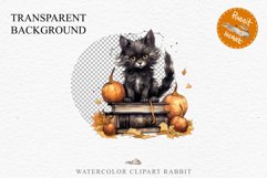 Halloween Kitten On Books Cats Spooky Clipart PNG Scrapbook Fairy Tale Art Image Watercolor witch magic Print illustration sublimation creepy printable digital watercolor halloween kitten books kitty pumpkin clipart, spooky sublimation nursery Creepy