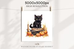 Halloween Kitten On Books Cats Spooky Clipart PNG Scrapbook Fairy Tale Art Image Watercolor witch magic Print illustration sublimation creepy printable digital watercolor halloween kitten books kitty pumpkin clipart, spooky sublimation nursery Creepy