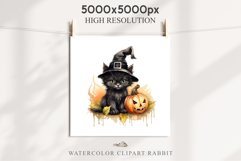 Halloween Kitten Pumpkin Cats Spooky Clipart PNG Scrapbook Fairy Tale Art Image Watercolor witch magic Print illustration sublimation creepy printable digital watercolor cute halloween kitten kitty pumpkin clipart, spooky sublimation nursery, Creepy Witch