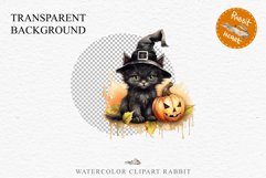 Halloween Kitten Pumpkin Cats Spooky Clipart PNG Scrapbook Fairy Tale Art Image Watercolor witch magic Print illustration sublimation creepy printable digital watercolor cute halloween kitten kitty pumpkin clipart, spooky sublimation nursery, Creepy Witch