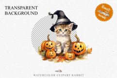 Halloween Kitten Pumpkin Cats Spooky Clipart PNG Scrapbook Fairy Tale Art Image Watercolor witch magic Print illustration sublimation creepy printable digital watercolor cute halloween kitten kitty pumpkin clipart, spooky sublimation nursery, Creepy Witch