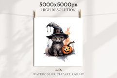 Halloween Kitten Pumpkin Cats Spooky Clipart PNG Scrapbook Fairy Tale Art Image Watercolor witch magic Print illustration sublimation creepy printable digital watercolor cute halloween kitten kitty pumpkin clipart, spooky sublimation nursery, Creepy Witch