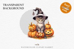 Halloween Kitten Pumpkin Cats Spooky Clipart PNG Scrapbook Fairy Tale Art Image Watercolor witch magic Print illustration sublimation creepy printable digital watercolor cute halloween kitten kitty pumpkin clipart, spooky sublimation nursery, Creepy Witch