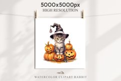 Halloween Kitten Pumpkin Cats Spooky Clipart PNG Scrapbook Fairy Tale Art Image Watercolor witch magic Print illustration sublimation creepy printable digital watercolor cute halloween kitten kitty pumpkin clipart, spooky sublimation nursery, Creepy Witch