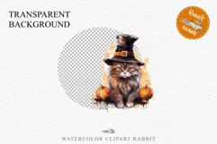 Halloween Kitten Pumpkin Cats Spooky Clipart PNG Scrapbook Fairy Tale Art Image Watercolor witch magic Print illustration sublimation creepy printable digital watercolor cute halloween kitten kitty pumpkin clipart, spooky sublimation nursery, Creepy Witch