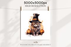 Halloween Kitten Pumpkin Cats Spooky Clipart PNG Scrapbook Fairy Tale Art Image Watercolor witch magic Print illustration sublimation creepy printable digital watercolor cute halloween kitten kitty pumpkin clipart, spooky sublimation nursery, Creepy Witch