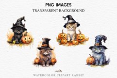 watercolor cute halloween kitten kitty pumpkin clipart, spooky sublimation nursery, Creepy Witch Halloween Kitten Pumpkin Cats Spooky Clipart PNG Scrapbook Fairy Tale Art Image Watercolor witch magic Print illustration sublimation creepy printable digital