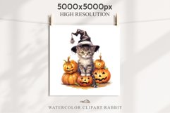 watercolor cute halloween kitten kitty pumpkin clipart, spooky sublimation nursery, Creepy Witch Halloween Kitten Pumpkin Cats Spooky Clipart PNG Scrapbook Fairy Tale Art Image Watercolor witch magic Print illustration sublimation creepy printable digital
