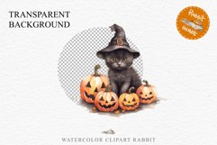 Halloween Kitten Pumpkin Cats Spooky Clipart PNG Scrapbook Fairy Tale Art Image Watercolor witch magic Print illustration sublimation creepy printable digital watercolor cute halloween kitten kitty pumpkin clipart, spooky sublimation nursery, Creepy Witch