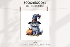 Halloween Kitten Pumpkin Cats Spooky Clipart PNG Scrapbook Fairy Tale Art Image Watercolor witch magic Print illustration sublimation creepy printable digital watercolor cute halloween kitten kitty pumpkin clipart, spooky sublimation nursery, Creepy Witch