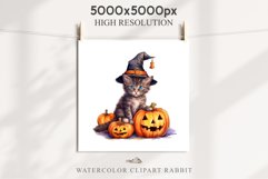 Halloween Kitten Pumpkin Cats Spooky Clipart PNG Scrapbook Fairy Tale Art Image Watercolor witch magic Print illustration sublimation creepy printable digital watercolor cute halloween kitten kitty pumpkin clipart, spooky sublimation nursery, Creepy Witch