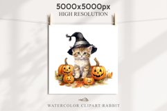 Halloween Kitten Pumpkin Cats Spooky Clipart PNG Scrapbook Fairy Tale Art Image Watercolor witch magic Print illustration sublimation creepy printable digital watercolor cute halloween kitten kitty pumpkin clipart, spooky sublimation nursery, Creepy Witch