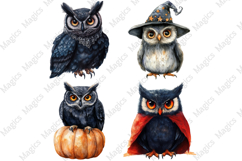 Halloween Owl | Halloween Sublimation Designs Product Image 1