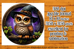 Halloween Wind Spinner, Owl Round Design, Witchy Owl, d1 Product Image 2