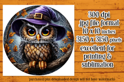 Halloween Wind Spinner, Owl Round Design, Witchy Owl, d3 Product Image 2