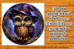 Halloween Wind Spinner, Owl Round Design, Witchy Owl, d4 Product Image 2