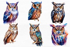 Owl Watercolor Sublimation Clipart Product Image 4