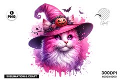 Spooky Cat Witch clipart, Cat Witch png, Cat Witchillustrations, watercolor clipart, sublimation designs, halloween clipart, hallowee Cat Witch, Spooky Cat Witch sublimation, halloween sublimation, halloween sublimation designs,