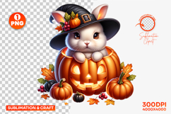 halloween rabbit png, rabbit inside pumpkin clipart, bunny halloween sublimation, cute rabbit halloween design, autumn bunny pumpkin png, woodland halloween animals, kawaii rabbit halloween, halloween sublimation clipart, rustic bunny halloween png, spook
