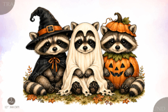 Halloween Raccoon Ghost PNG, Spooky Retro Raccoon Design Product Image 1