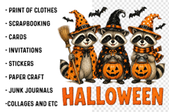 Halloween Raccoons PNG Product Image 3