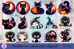 Black and white cat, Sarcastic halloween Clipart watercolor Product Image 1