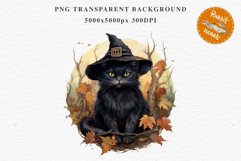 Halloween Wizard Kitten Witch Black Cats Clipart PNG Spooky Fairy Tale Art Image Watercolor witch magic Print illustration sublimation creepy printable digital watercolor cute halloween witch cat kitty pumpkin clipart, spooky sublimation nursery, Creepy 