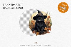 Halloween Wizard Kitten Witch Black Cats Clipart PNG Spooky Fairy Tale Art Image Watercolor witch magic Print illustration sublimation creepy printable digital watercolor cute halloween witch cat kitty pumpkin clipart, spooky sublimation nursery, Creepy 