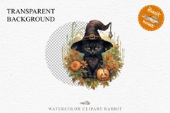 Halloween Wizard Kitten Witch Black Cats Clipart PNG Spooky Fairy Tale Art Image Watercolor witch magic Print illustration sublimation creepy printable digital watercolor cute halloween witch cat kitty pumpkin clipart, spooky sublimation nursery, Creepy a