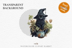Halloween Wizard Kitten Witch Black Cats Clipart PNG Spooky Fairy Tale Art Image Watercolor witch magic Print illustration sublimation creepy printable digital watercolor cute halloween witch cat kitty pumpkin clipart, spooky sublimation nursery, Creepy a
