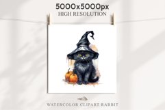 Halloween Wizard Kitten Witch Black Cats Clipart PNG Spooky Fairy Tale Art Image Watercolor witch magic Print illustration sublimation creepy printable digital watercolor cute halloween kitten kitty pumpkin clipart, spooky sublimation nursery, Creepy Wit 