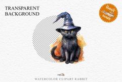 Halloween Wizard Kitten Witch Black Cats Clipart PNG Spooky Fairy Tale Art Image Watercolor witch magic Print illustration sublimation creepy printable digital watercolor cute halloween kitten kitty pumpkin clipart, spooky sublimation nursery, Creepy Witc