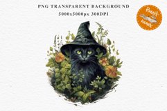 Halloween Wizard Kitten Witch Black Cats Clipart PNG Spooky Fairy Tale Art Image Watercolor witch magic Print illustration sublimation creepy printable digital watercolor cute halloween witch cat kitty pumpkin clipart, spooky sublimation nursery, Creepy 