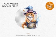 Halloween Wizard Kitten Witch Black Cats Clipart PNG Spooky Fairy Tale Art Image Watercolor witch magic Print illustration sublimation creepy printable digital watercolor cute halloween kitten kitty pumpkin clipart, spooky sublimation nursery, Creepy Witc