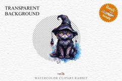 Halloween Wizard Kitten Witch Black Cats Clipart PNG Spooky Fairy Tale Art Image Watercolor witch magic Print illustration sublimation creepy printable digital watercolor cute halloween kitten kitty pumpkin clipart, spooky sublimation nursery, Creepy Wit 