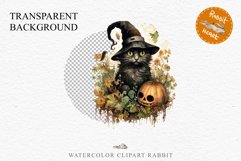 Halloween Wizard Kitten Witch Black Cats Clipart PNG Spooky Fairy Tale Art Image Watercolor witch magic Print illustration sublimation creepy printable digital watercolor cute halloween witch cat kitty pumpkin clipart, spooky sublimation nursery, Creepy a