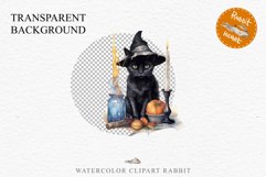Halloween Wizard Kitten Witch Black Cats Clipart PNG Spooky Fairy Tale Art Image Watercolor witch magic Print illustration sublimation creepy printable digital watercolor cute halloween kitten kitty pumpkin clipart, spooky sublimation nursery, Creepy Wit 