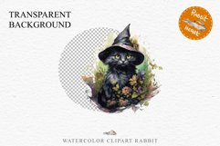 Halloween Wizard Kitten Witch Black Cats Clipart PNG Spooky Fairy Tale Art Image Watercolor witch magic Print illustration sublimation creepy printable digital watercolor cute halloween witch cat kitty pumpkin clipart, spooky sublimation nursery, Creepy a