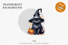 Halloween Wizard Kitten Witch Black Cats Clipart PNG Spooky Fairy Tale Art Image Watercolor witch magic Print illustration sublimation creepy printable digital watercolor cute halloween kitten kitty pumpkin clipart, spooky sublimation nursery, Creepy Wit 